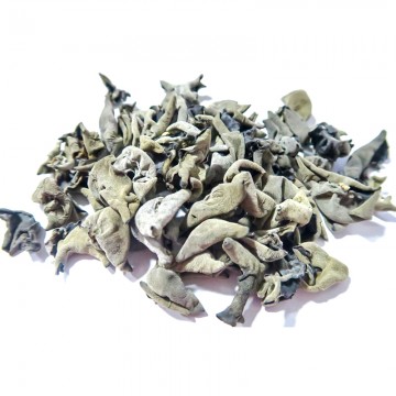 Mouse Ear Black Fungus
