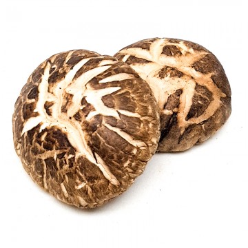 Dried Camellia Mushroom