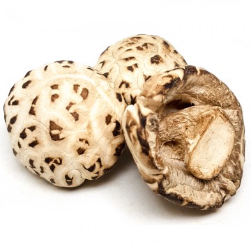 Dried Japan Flower Mushroom (with stalk)