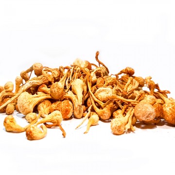 Cordyceps Heads (100g)