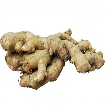 Bentong Ginger