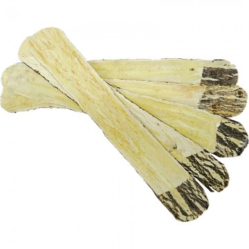 Bei Qi (北芪片)