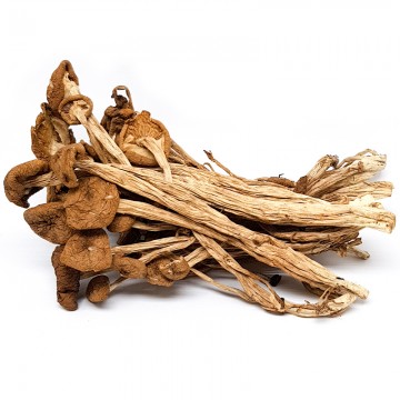 Tea Tree Mushroom (Cha Shu Gu)