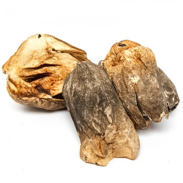 Straw Mushroom