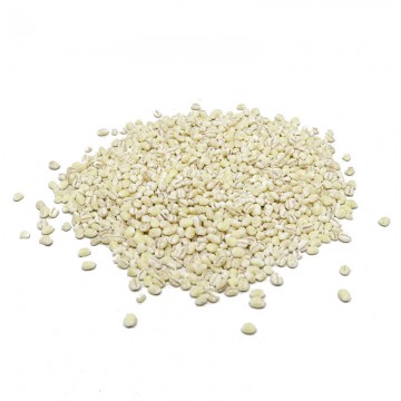 Dried Holland Barley (500g)