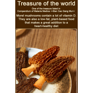 Cooking Ingredients & Others