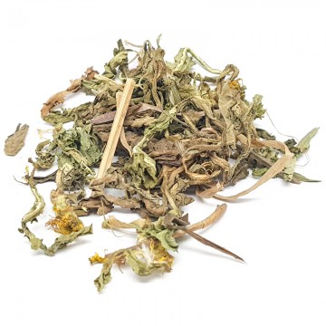 Dandelion Leaf (Pu Gong Ying)