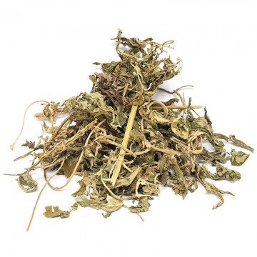 Chinese Motherwort
