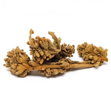 Buddleia Flower (Mi Meng Hua)