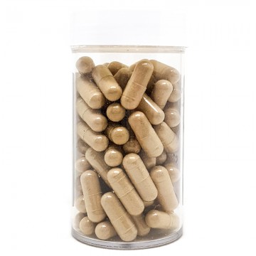 American Ginseng & Pseudo Ginseng Powder (30 capsules)