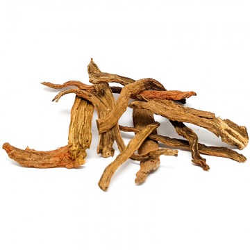 Red Salvia Roots
