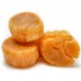 Scallops