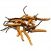 TCM, Herbs & Tonics