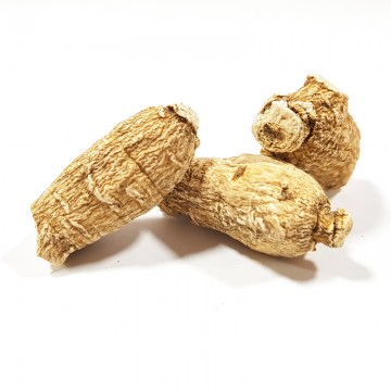 American Ginseng Normal Grade 1 tael (37.5g)
